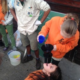 2014-11-09 15.28.38 - Scouts en Gidsen Zaventem 